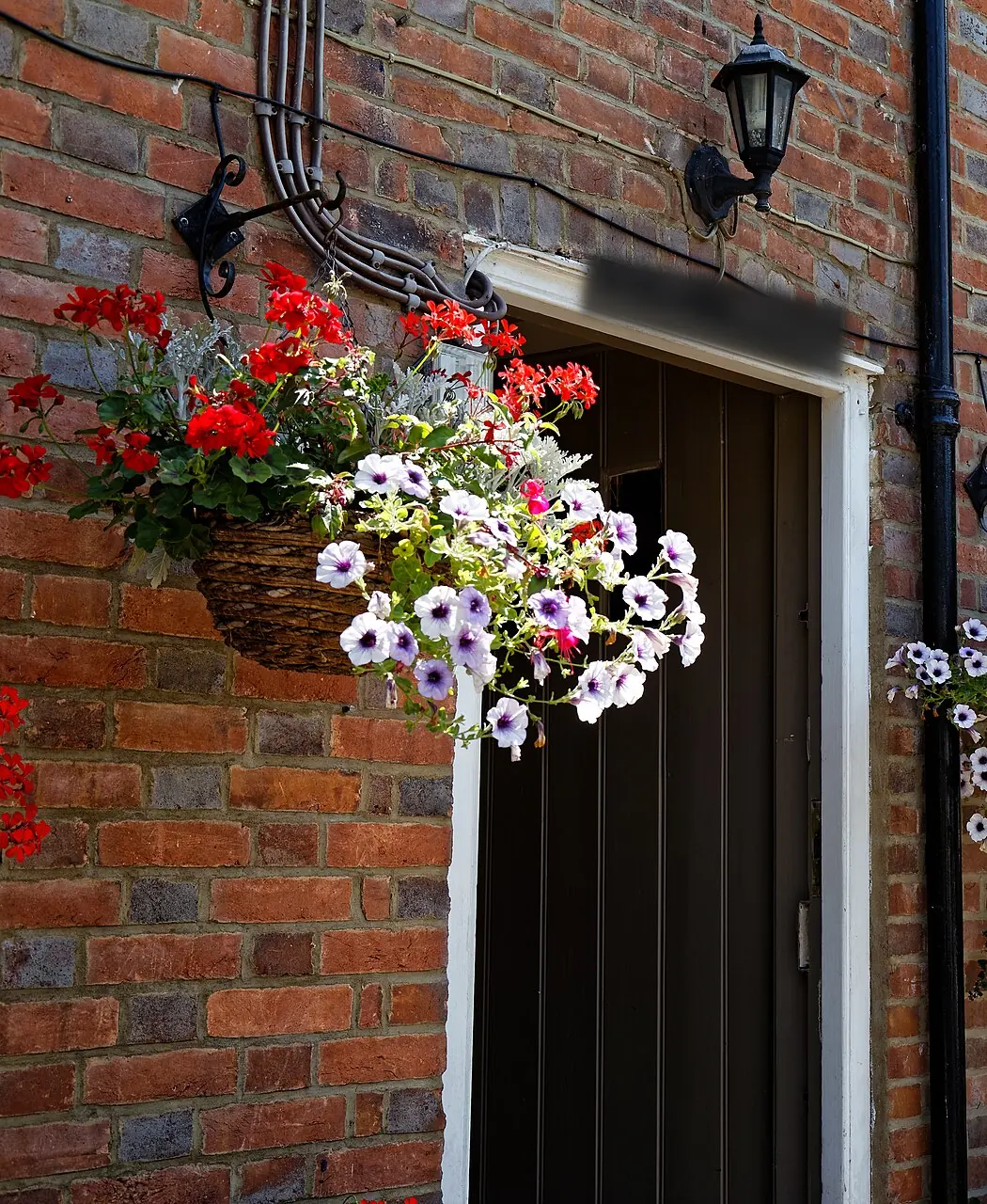 A front door with hanging baskets of red geraniums and white petunias on a brick wall